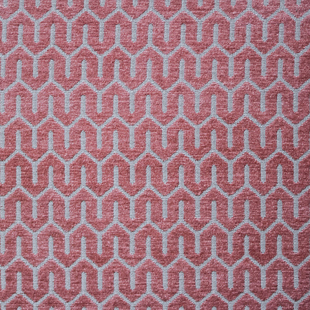 SOHO CORAL