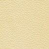 MADRAS IVORY