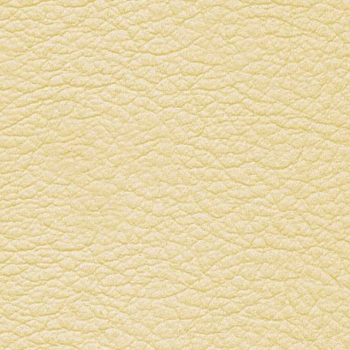 MADRAS IVORY