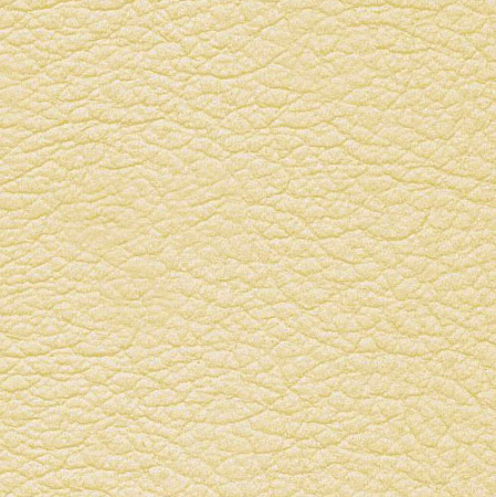 MADRAS IVORY