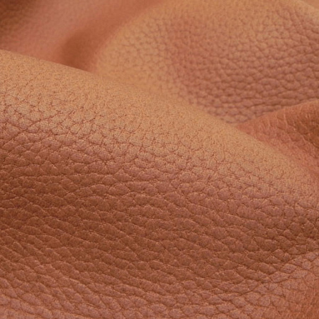 Terra