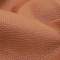 Terra