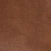 Sofa Leather 05