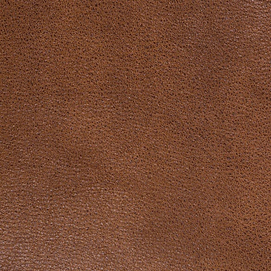 Sofa Leather 05
