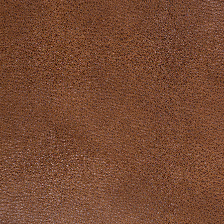 Sofa Leather 05