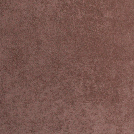 Cocoa