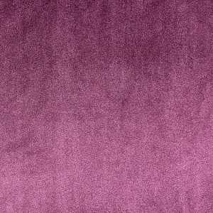 Star Velvet 21 Aubergine