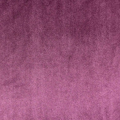 Star Velvet 21 Aubergine