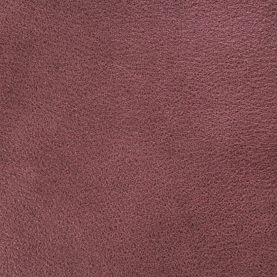 Sofa Leather 13
