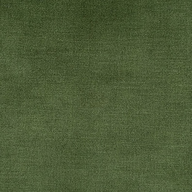 Moss