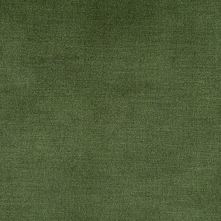Moss