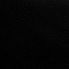Florida Dark