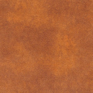 Гранд Каньон 115