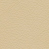 MADRAS DUNE