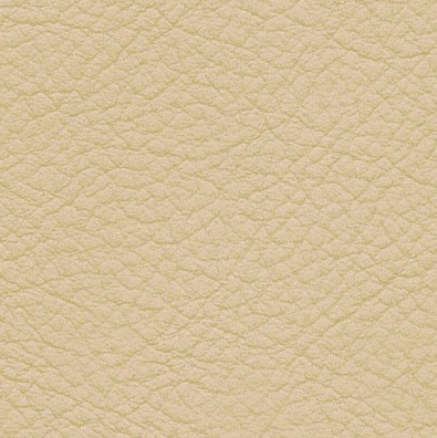 MADRAS DUNE