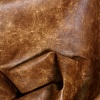 OLD CAMEL