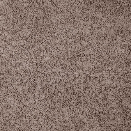 Montego Lux Nutmeg