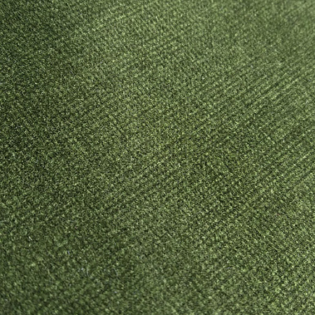 Moss