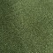 Moss